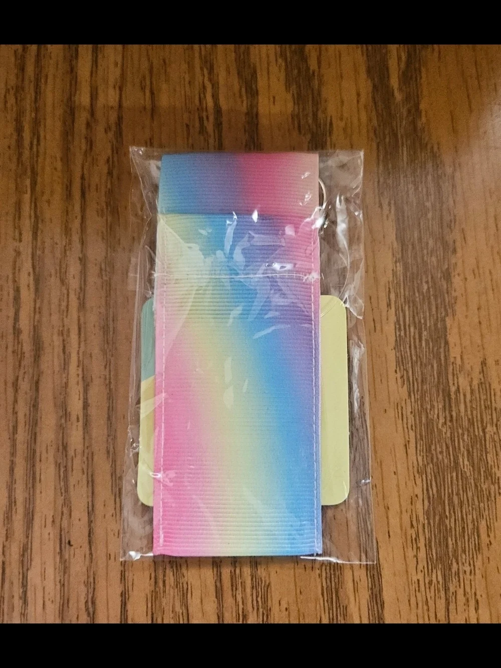 Lip Gloss  / Lip Balm Holder with Keychain In Rainbow BNIB